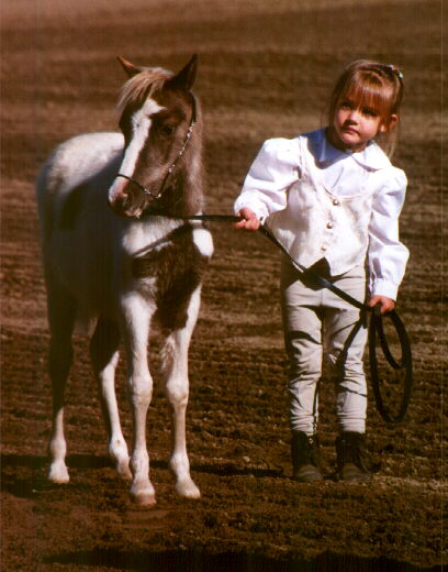 Healthy Water Healthy Horses 