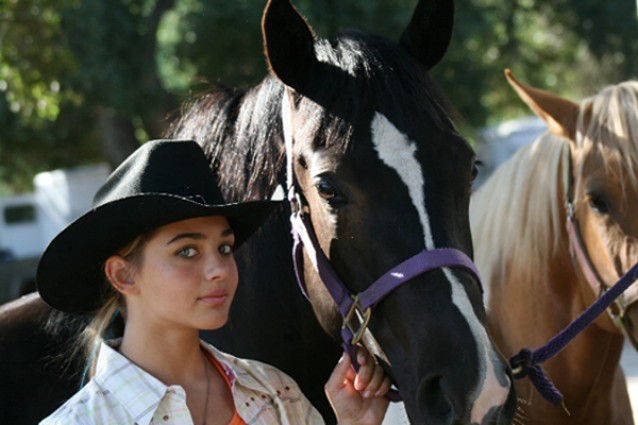 Water Filters for Horses